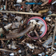 Illustration for article titled Scientists Say Theyve Found Microplastics in Peoples Poop, But Dont Worry Just Yet